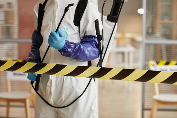 Professional Sewage Cleanup technician working in Lake Arrowhead, CA